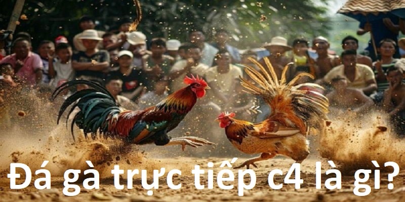 Tìm hiểu về đá gà trực tiếp C4