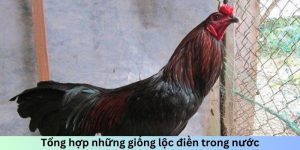 Tổng hợp những giống lộc điền trong nước